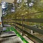 Malinowy 3* 卡尔帕奇