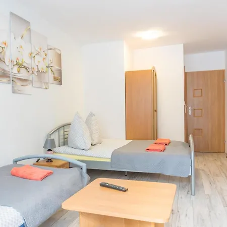 Malinowy 住宿加早餐酒店 卡尔帕奇