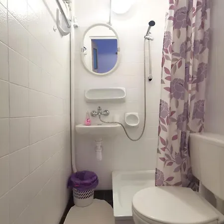 Malinowy 3* Карпач