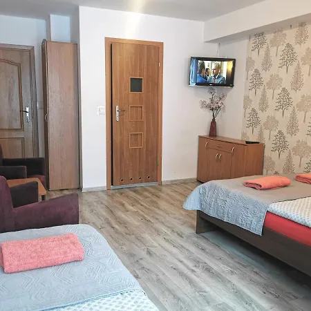 Bed and breakfast Malinowy 3*