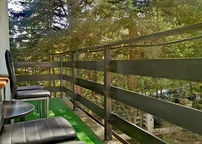 Malinowy 3* Карпач