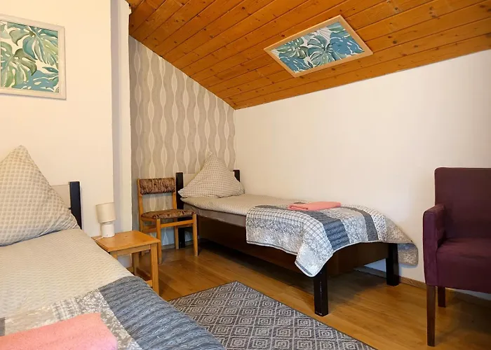 Malinowy 3* Карпач